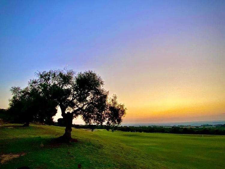 ARCOS GOLF