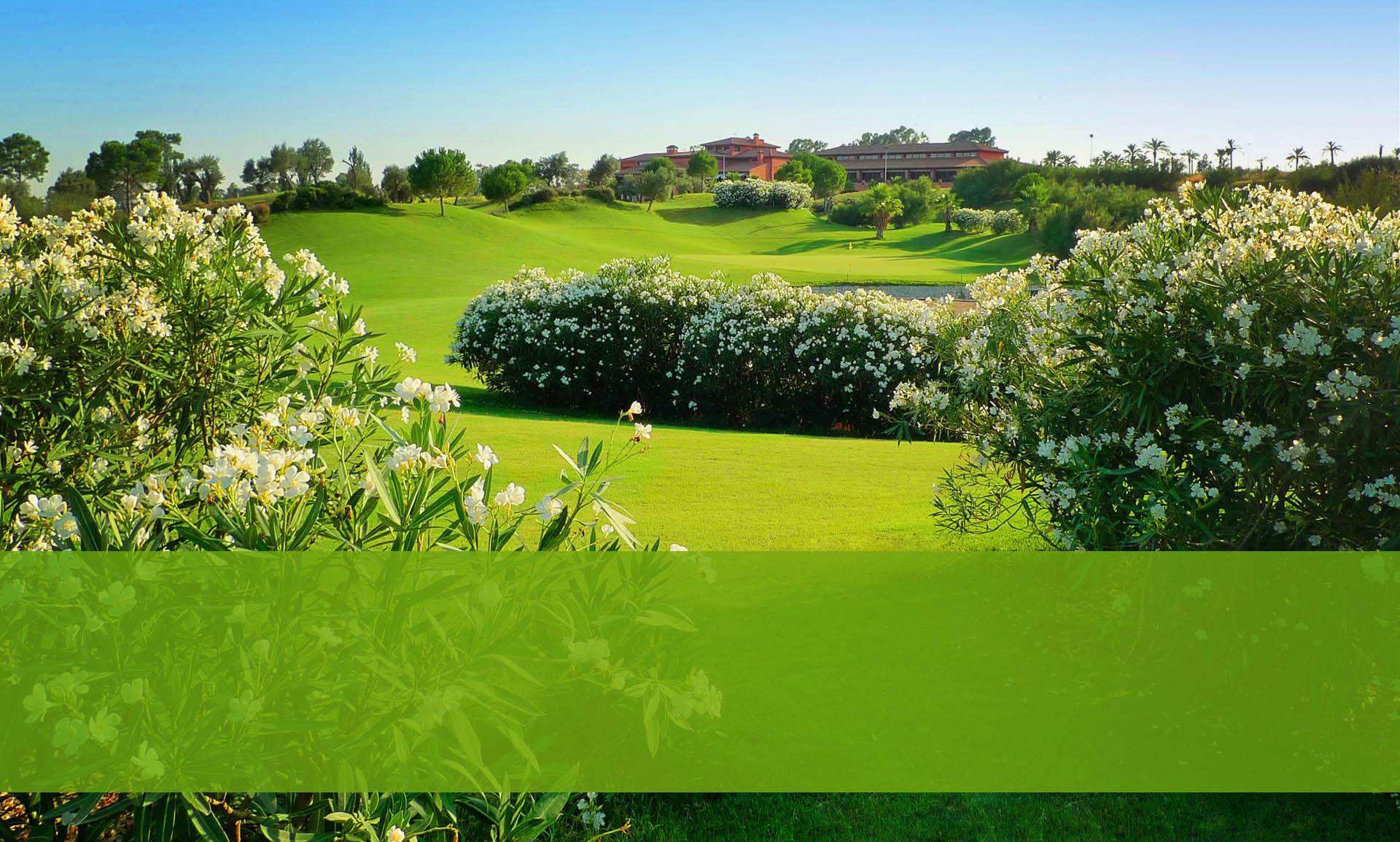 HATO VERDE-MATCH QUALITY GOLF